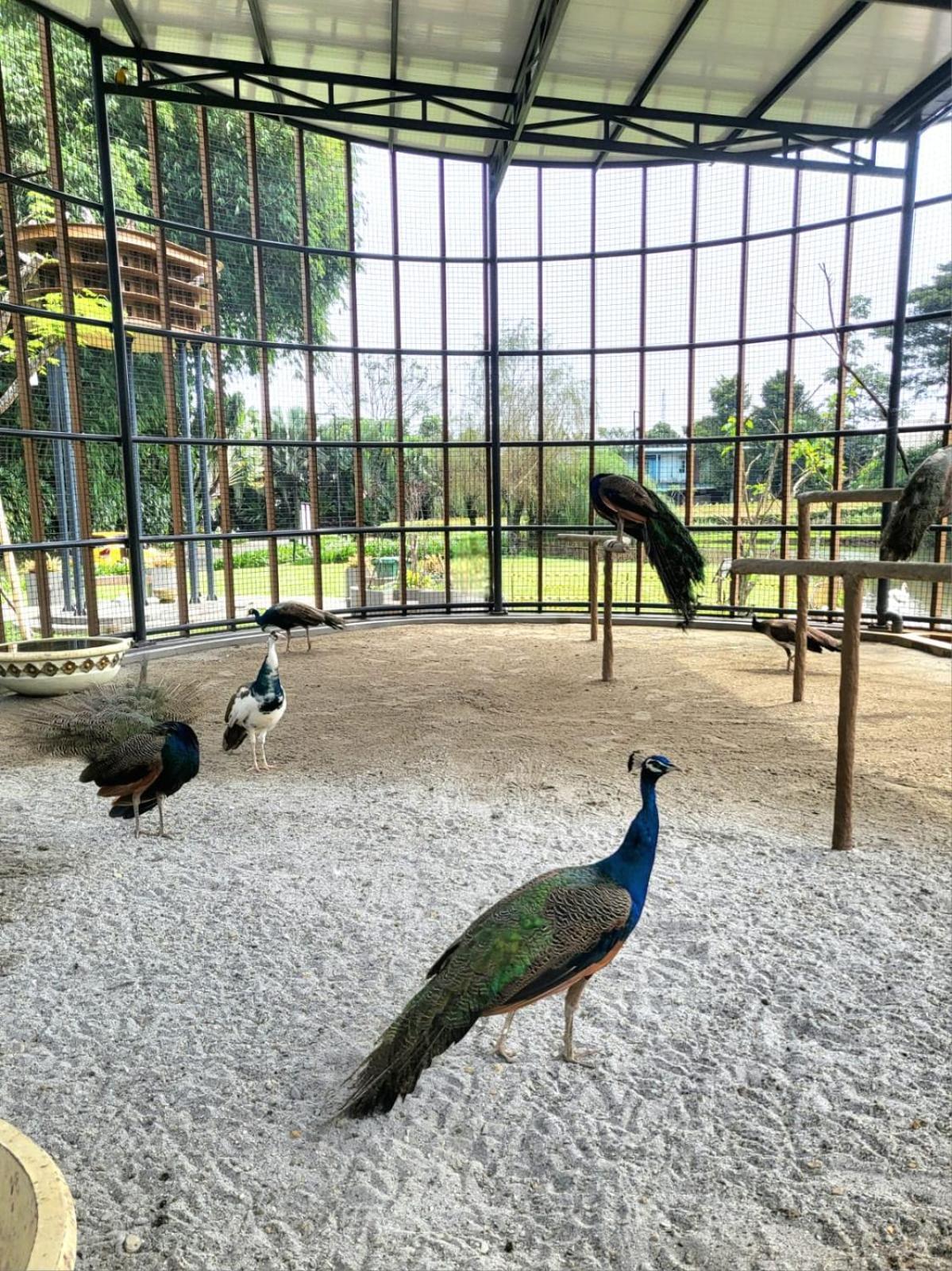 Villa Vimala Hills Semeru 茂物 外观 照片
